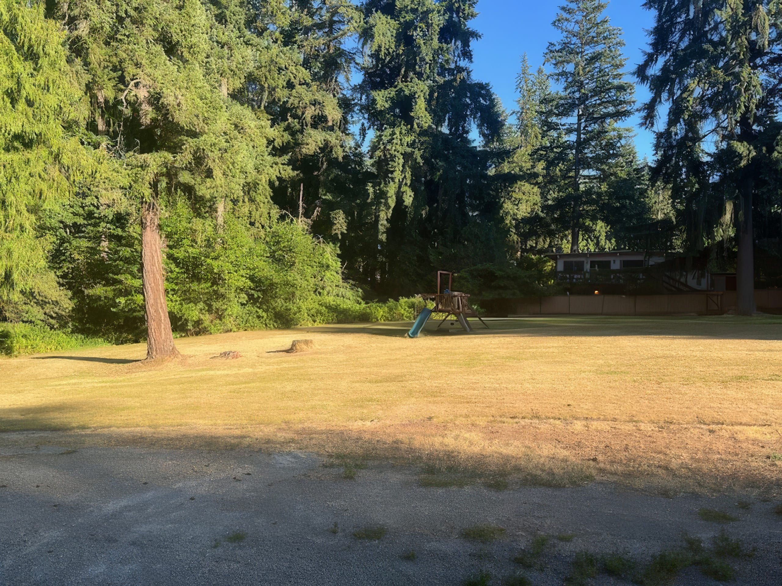 Tree-filled property for the future Longhouse Redmond household